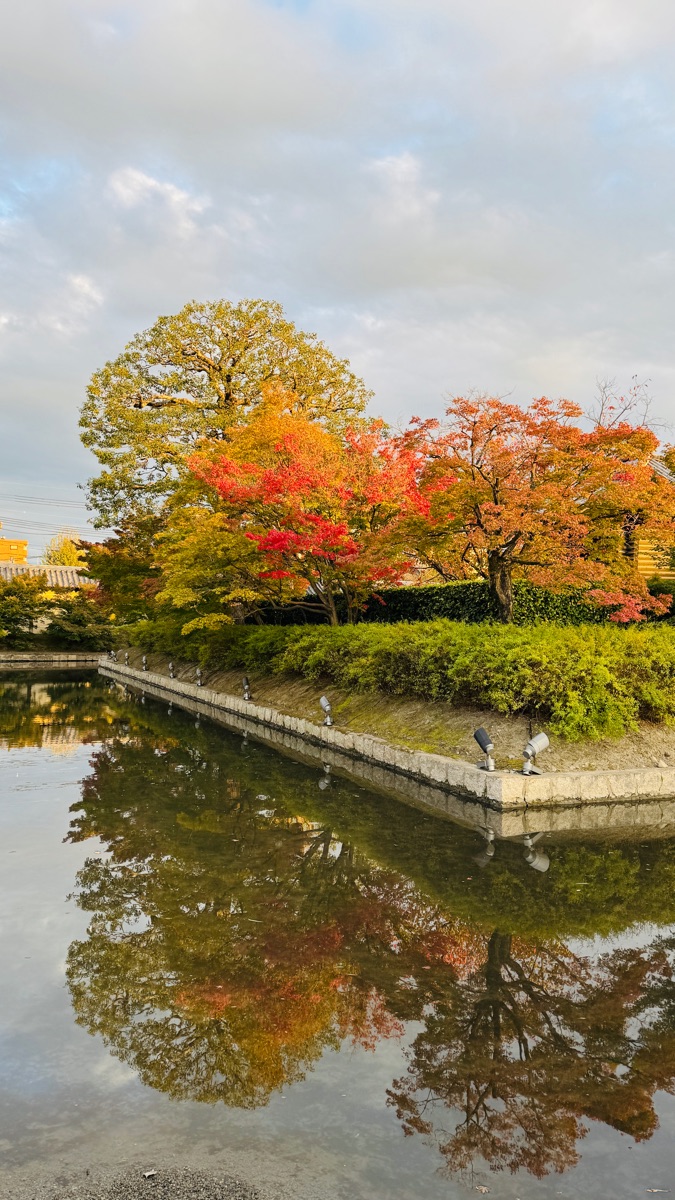 東寺(教王護國寺) | 去趣 chicTrip