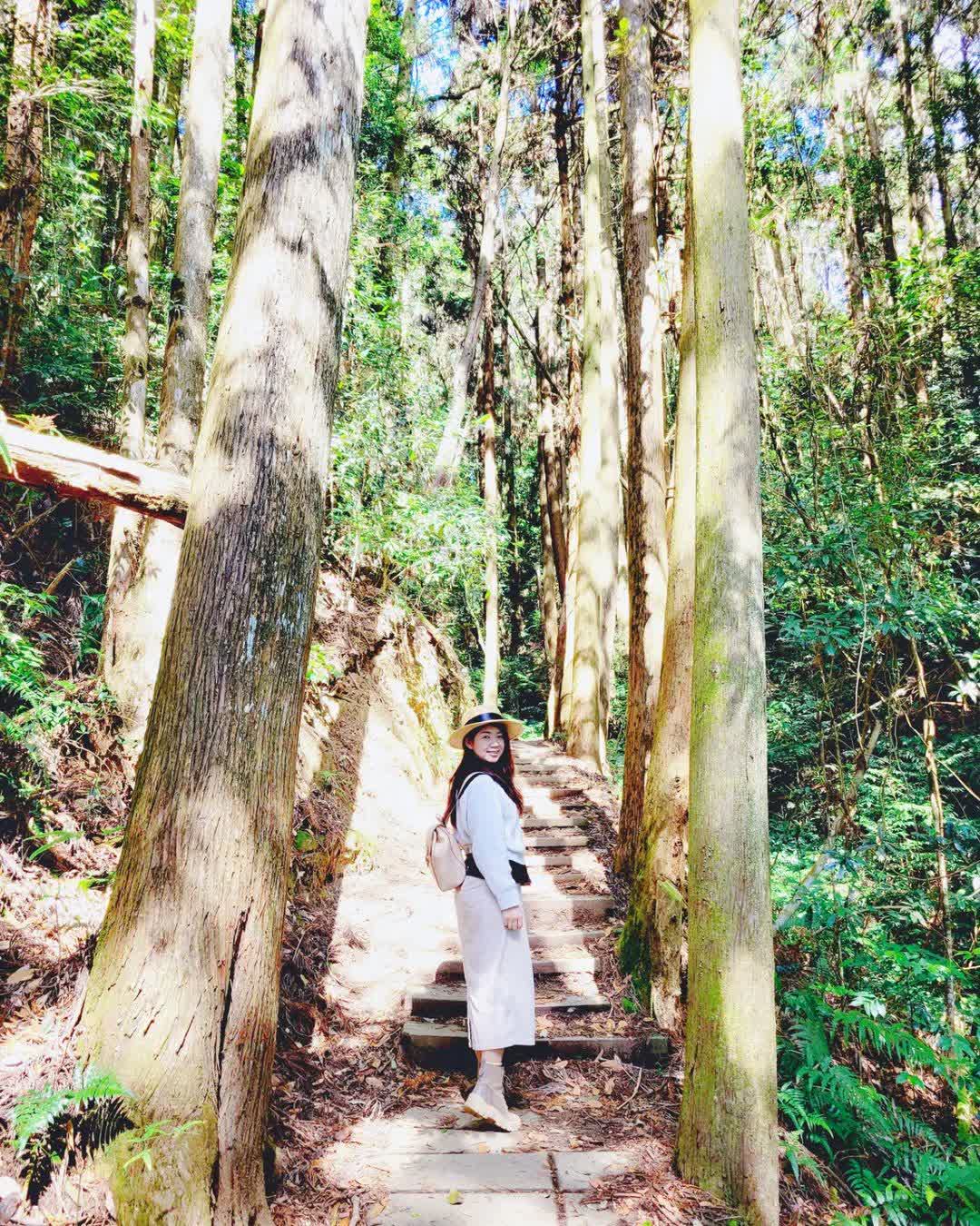 草嶺石壁森林療癒基地 | 去趣 chicTrip