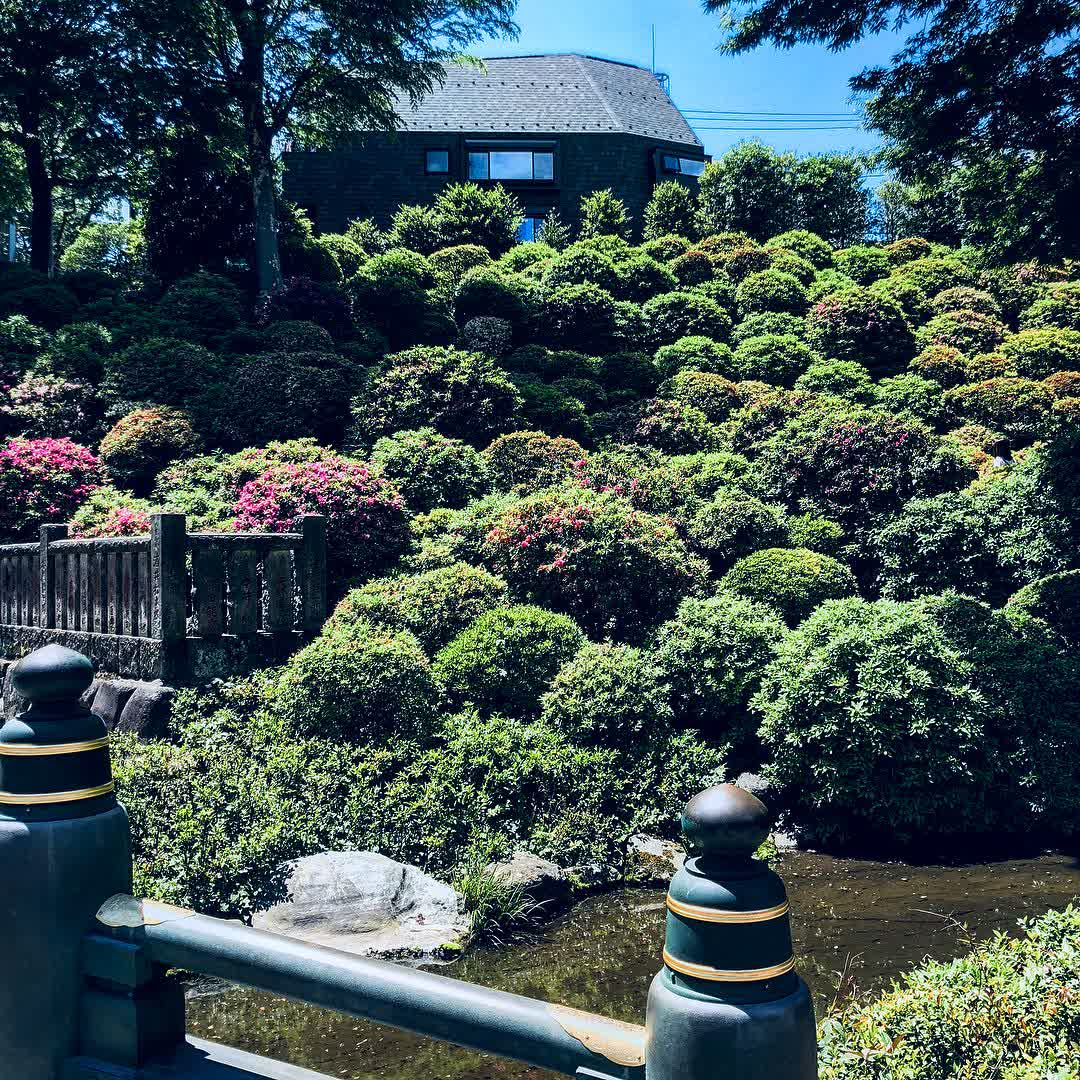 根津神社 | 去趣 chicTrip