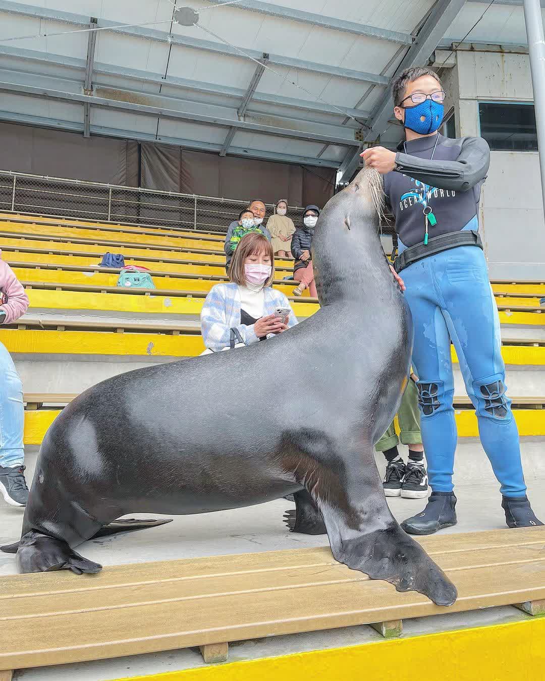野柳海洋世界 | 去趣 chicTrip