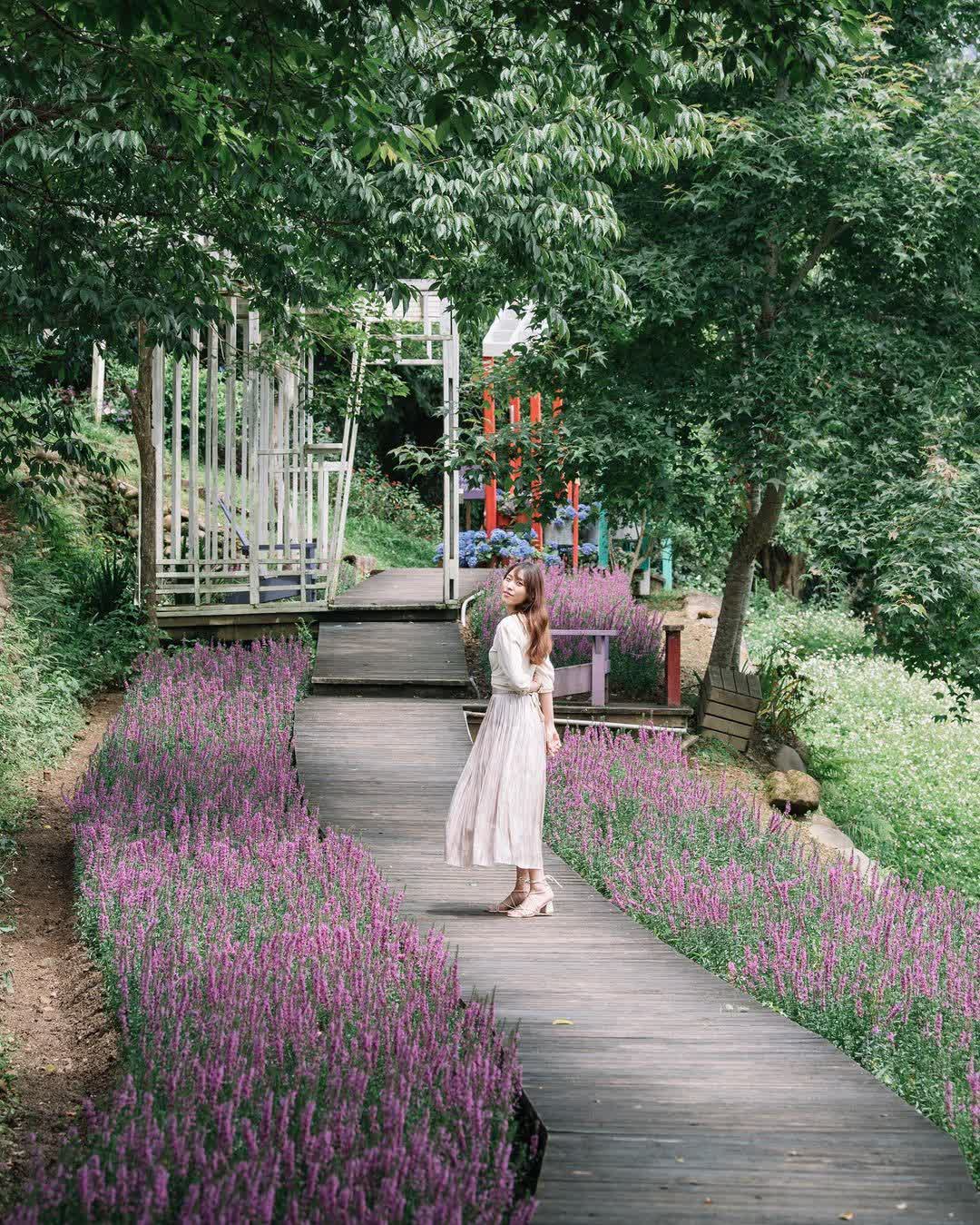 薰衣草森林新竹尖石店 | 去趣 chicTrip