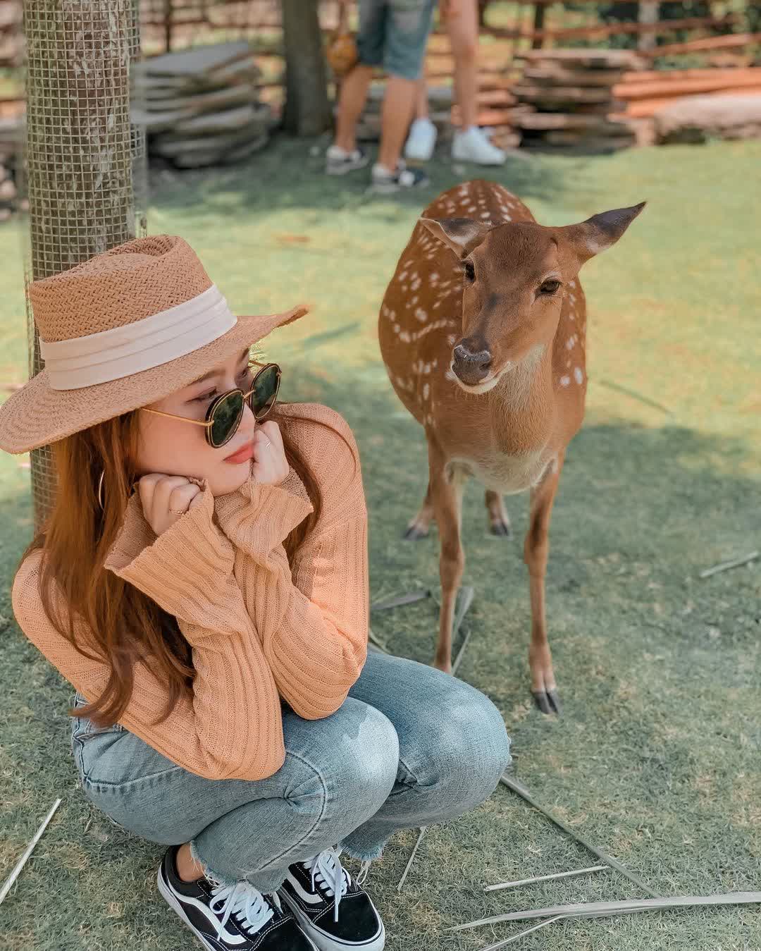 宜蘭-斑比山丘 | 去趣 chicTrip