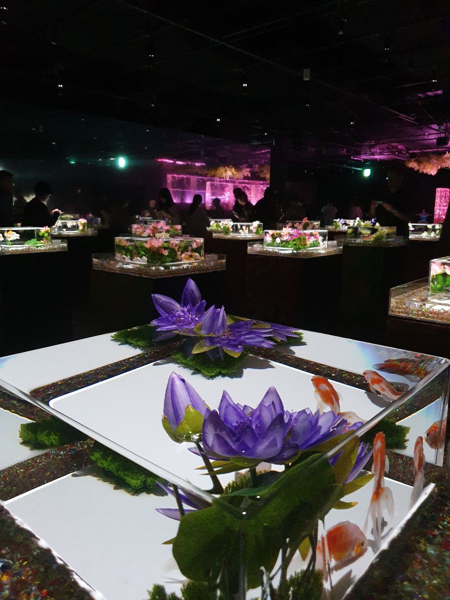 ART AQUARIUM MUSEUM 銀座金魚美術館 | 去趣 chicTrip