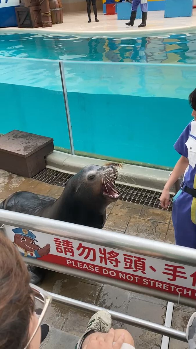 遠雄海洋公園 | 去趣 chicTrip