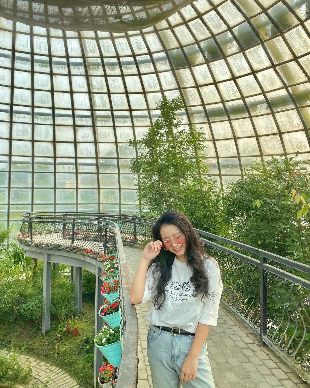 嘉大昆蟲館 | 去趣 chicTrip