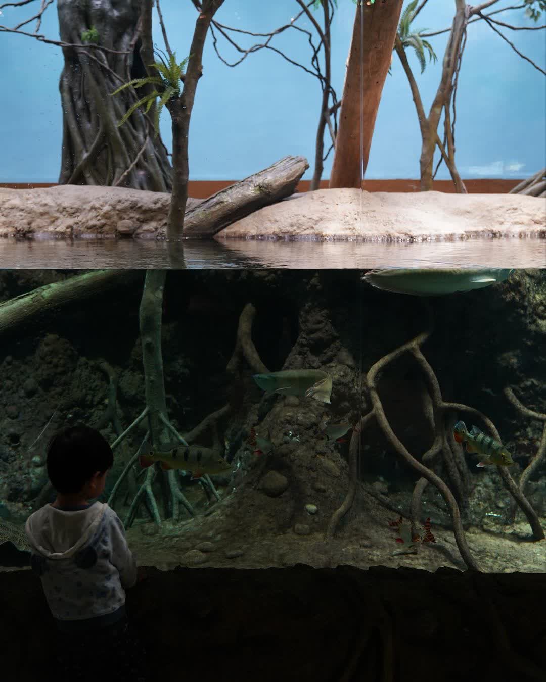 Xpark 水族館 | 去趣 chicTrip