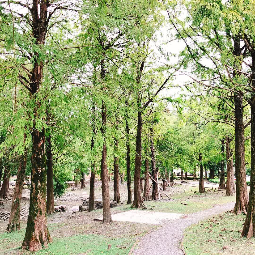 羅東運動公園 | 去趣 chicTrip