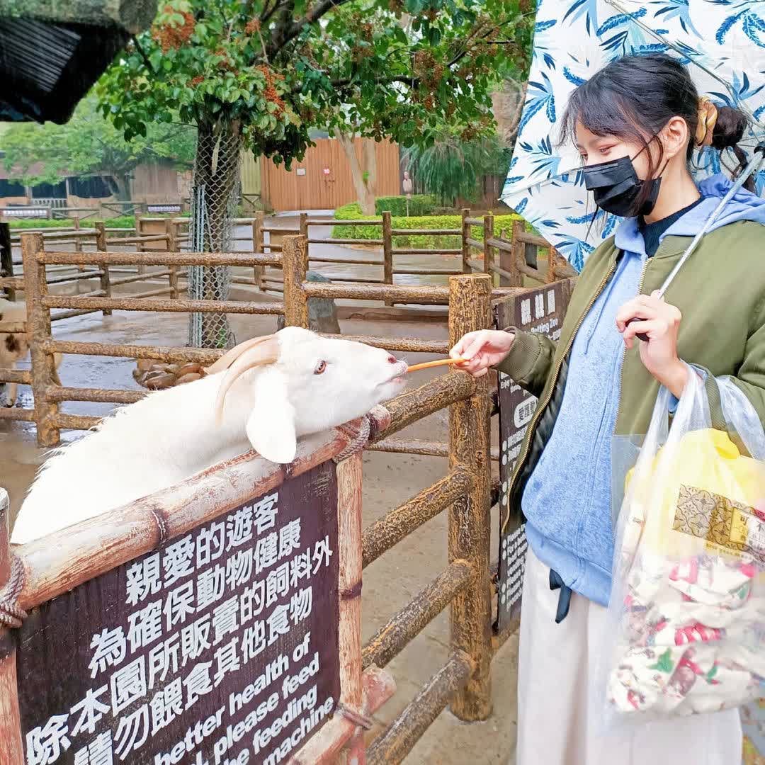 六福村主題遊樂園 | 去趣 chicTrip