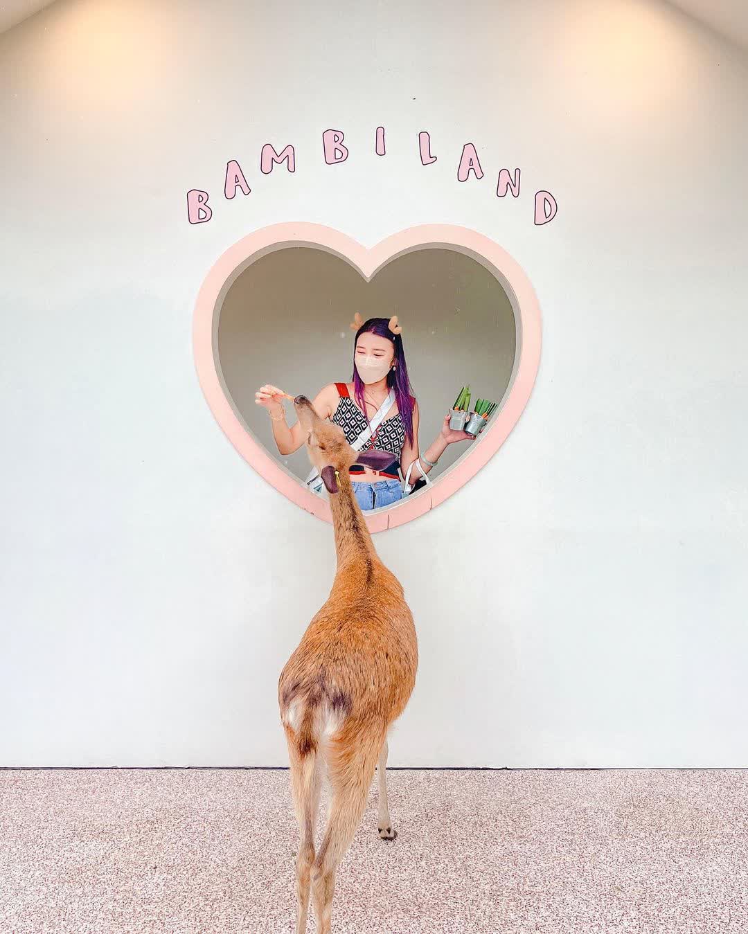 宜蘭-斑比山丘 | 去趣 chicTrip