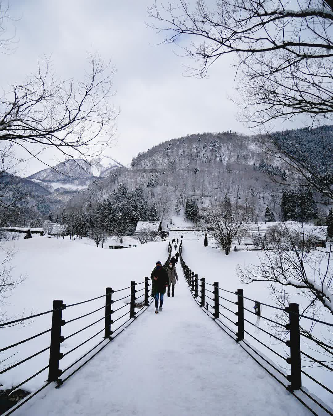 白川鄉合掌造聚落 | 去趣 chicTrip