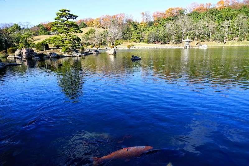 Japanese Garden | 去趣 chicTrip