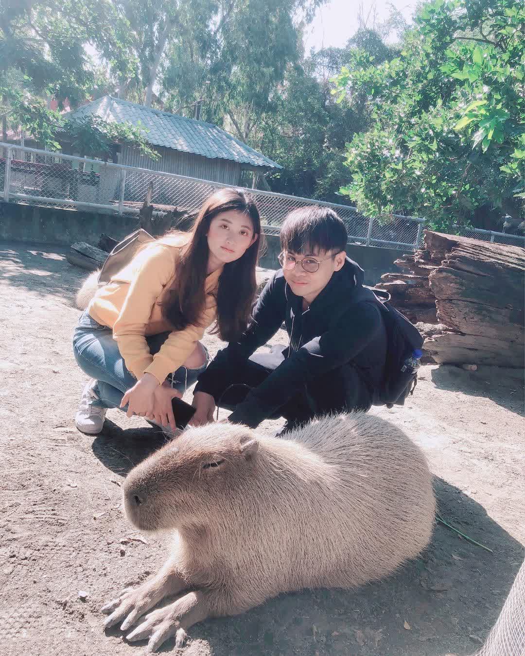 頑皮世界野生動物園 | 去趣 chicTrip