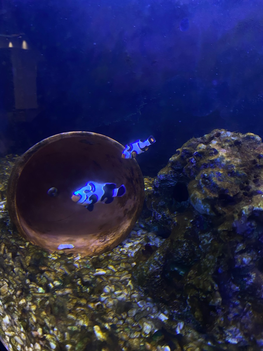 金車生技水產養殖研發中心 | 去趣 chicTrip