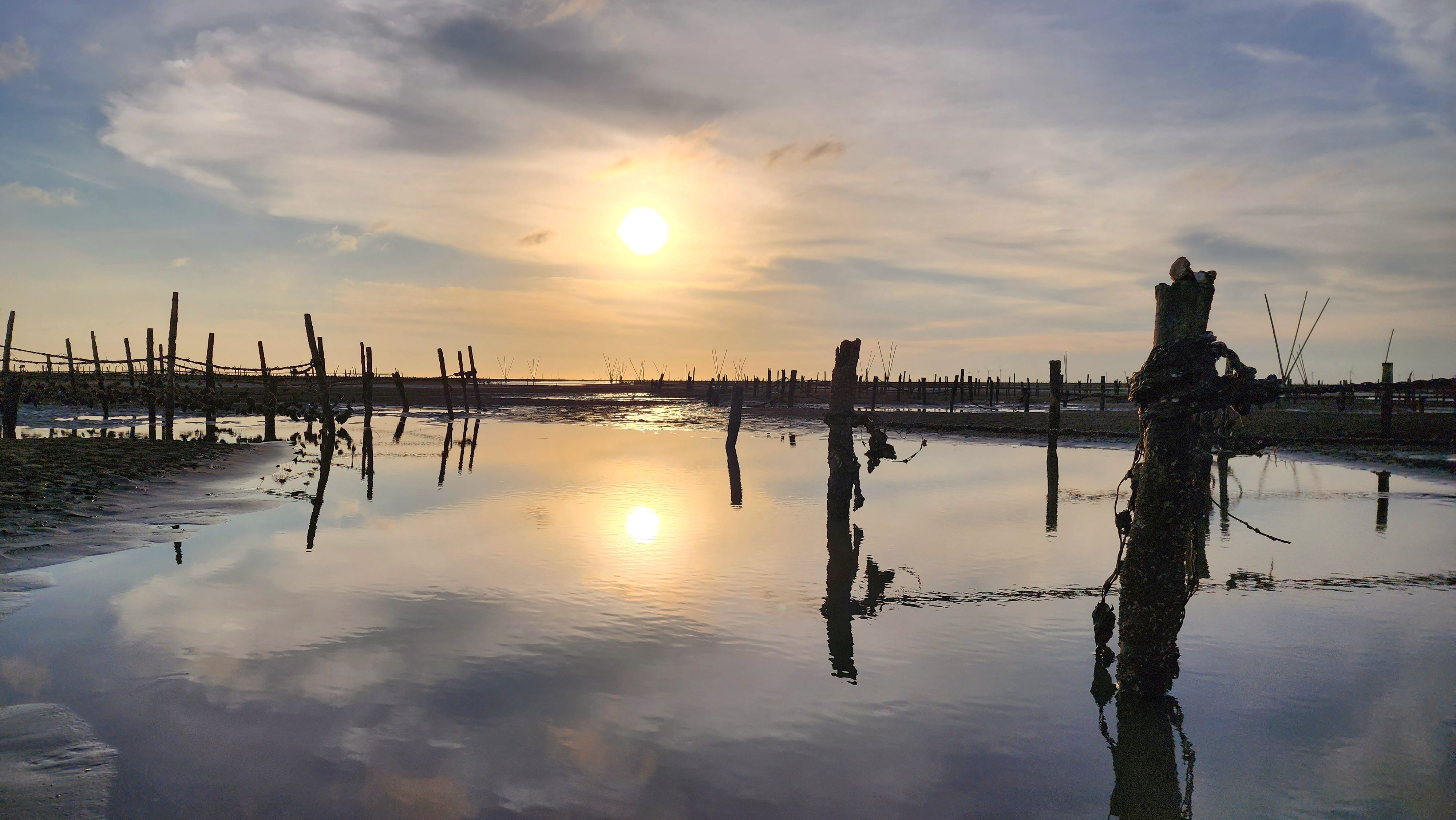 芳苑濕地紅樹林海空步道