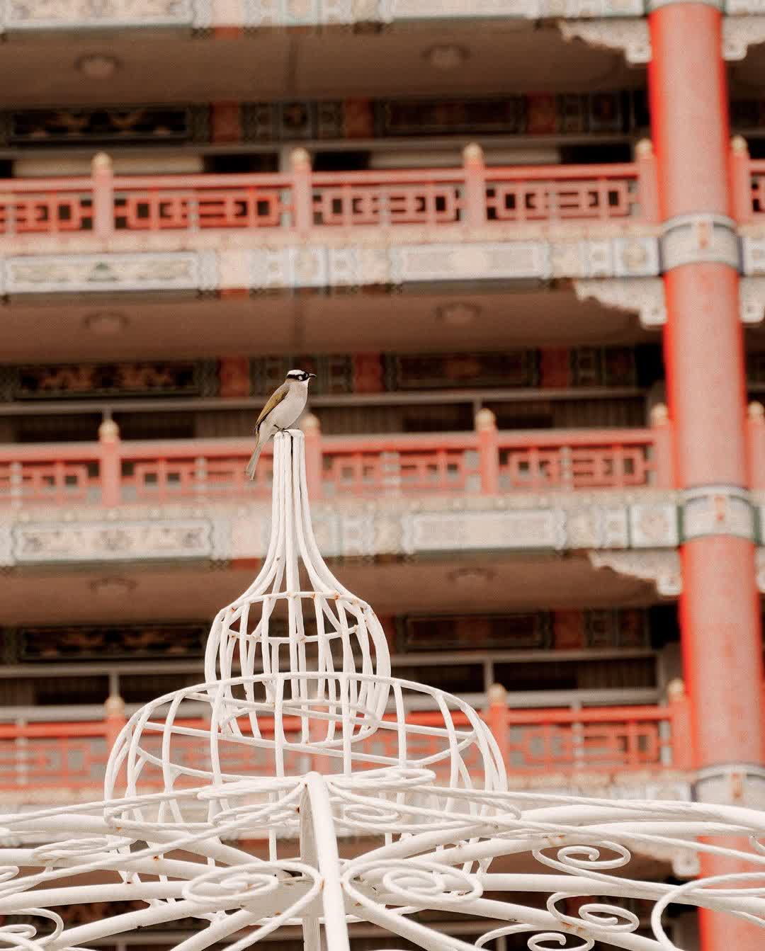 圓山大飯店 | 去趣 chicTrip