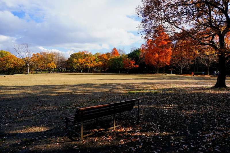 Natural and Cultural Gardens | 去趣 chicTrip