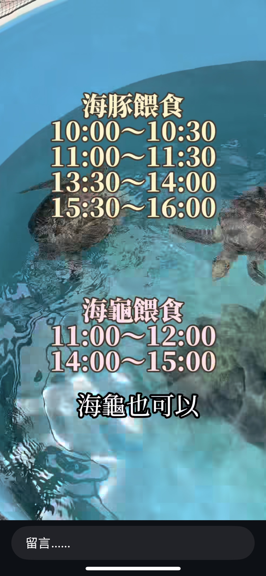 沖繩美麗海水族館 | 去趣 chicTrip