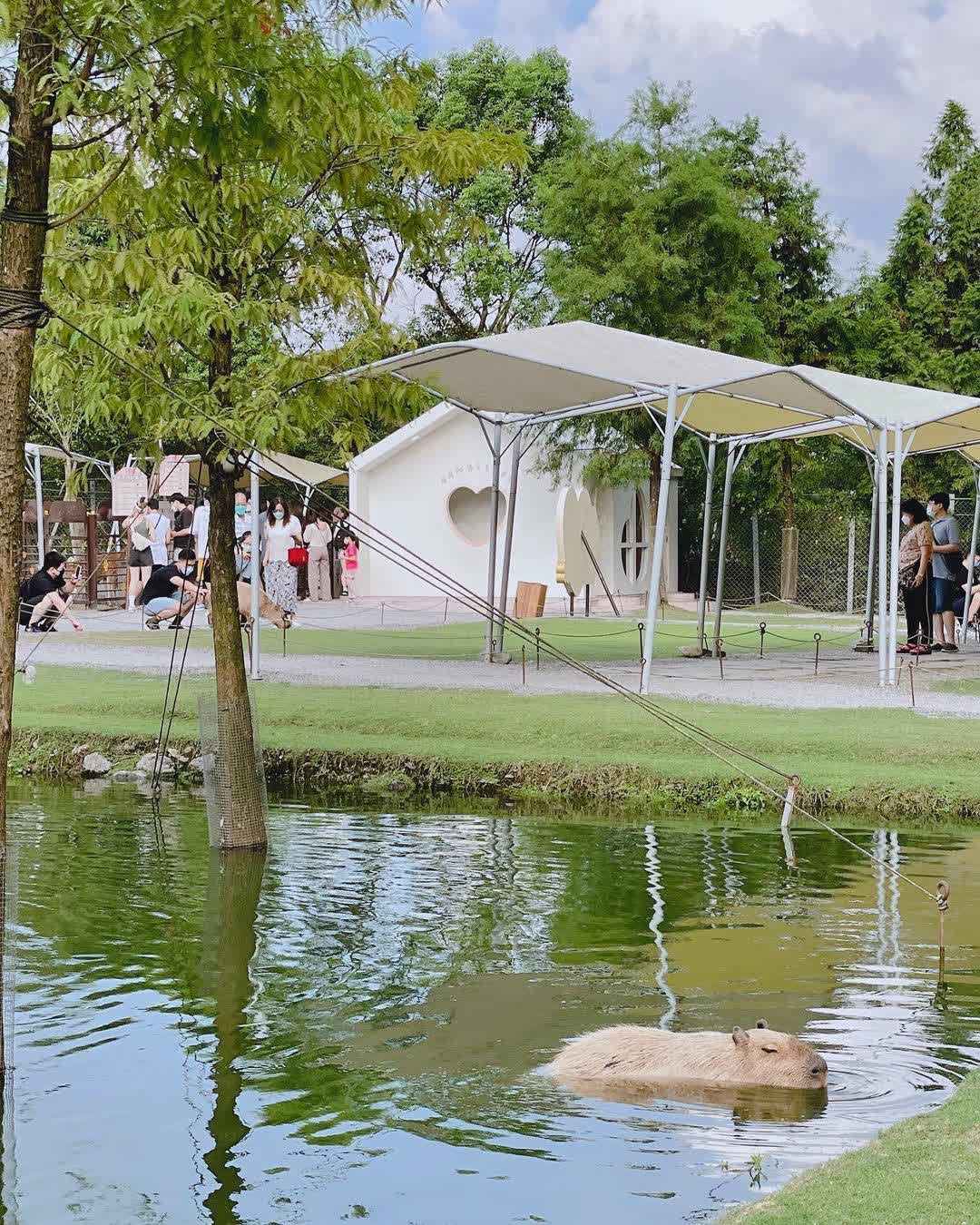 宜蘭-斑比山丘 | 去趣 chicTrip