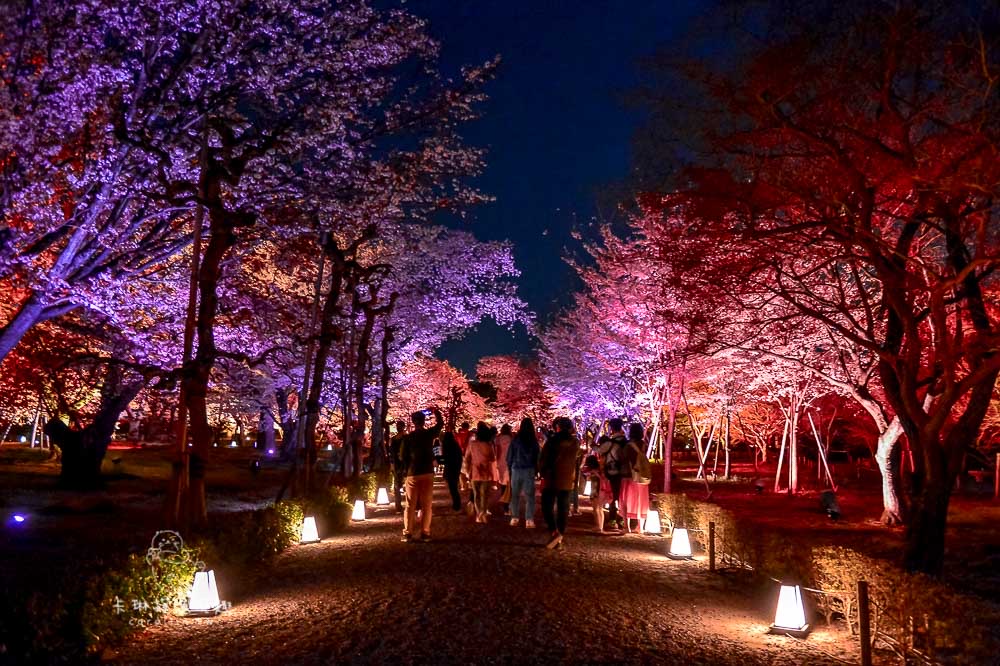 二條城 | 去趣 chicTrip