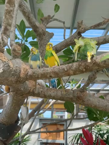 回巢農場 | 去趣 chicTrip