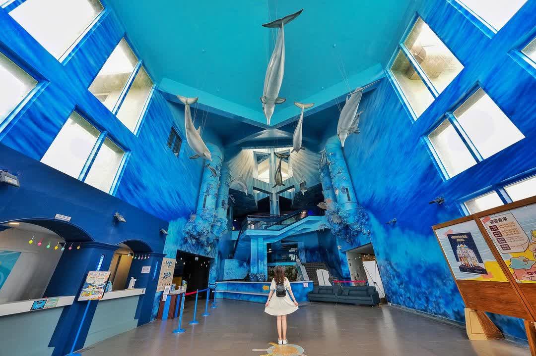 澎湖水族館 | 去趣 chicTrip
