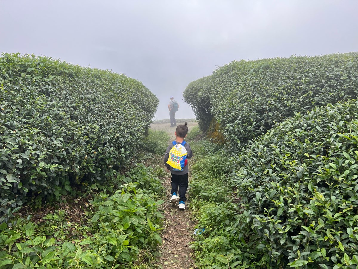 二延平步道 | 去趣 chicTrip