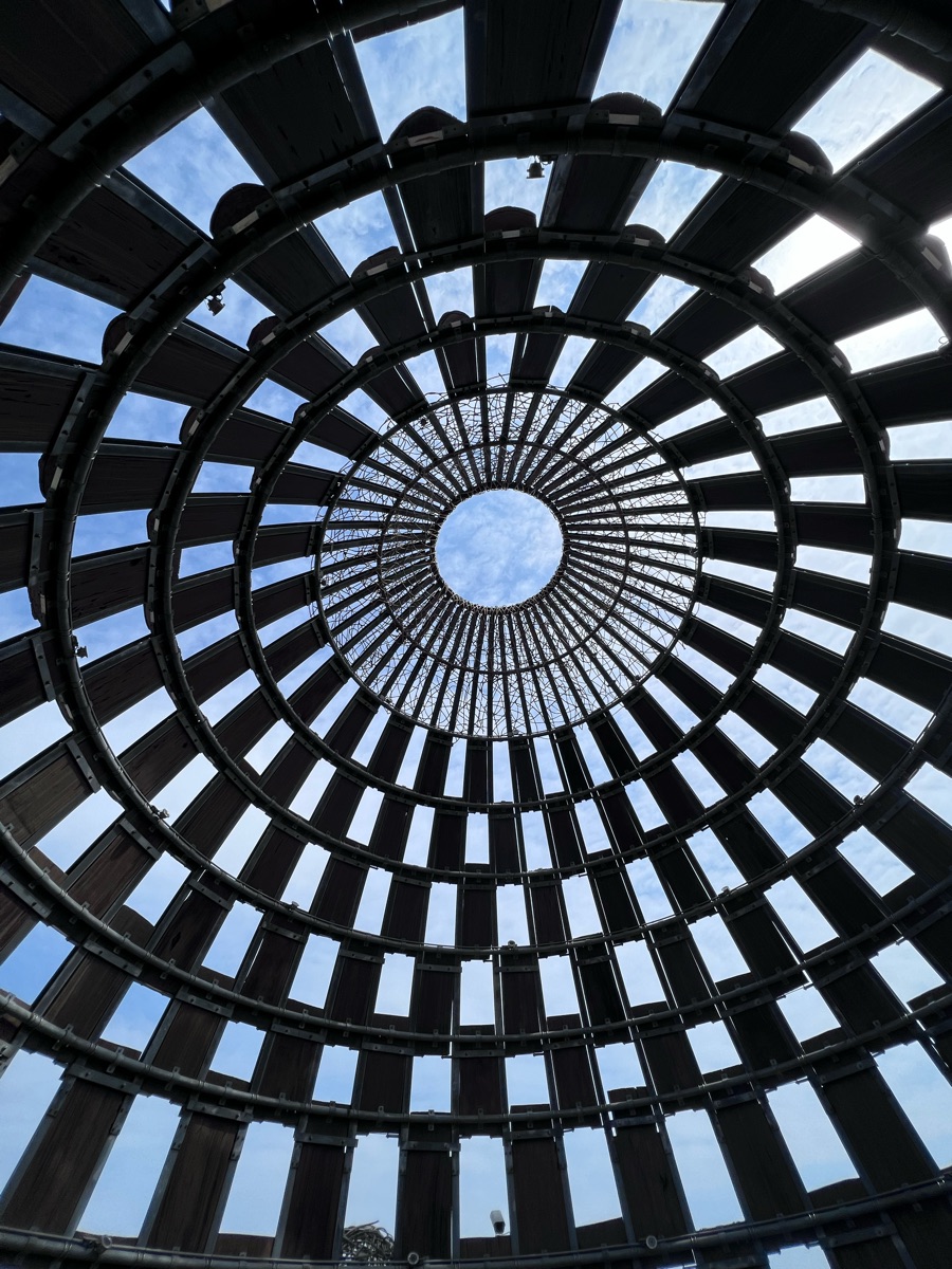 森林之歌 | 去趣 chicTrip