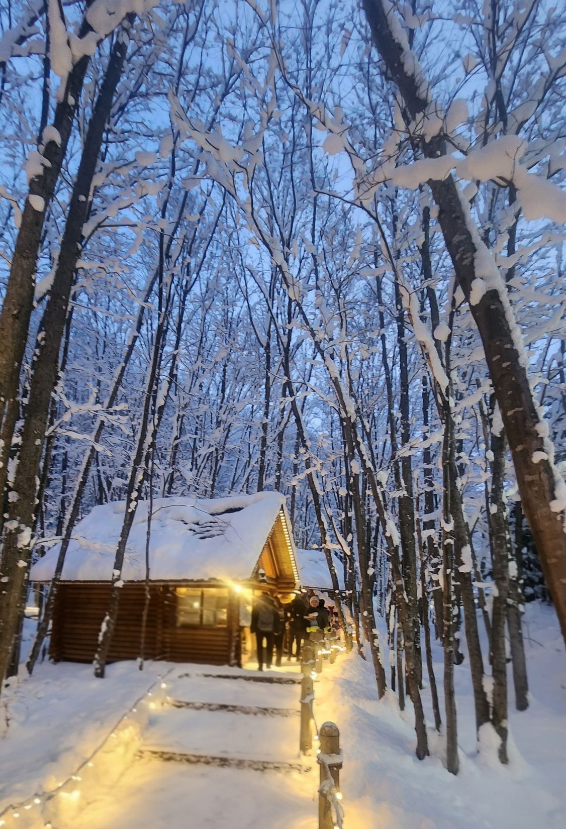 森林精靈露台 | 去趣 chicTrip