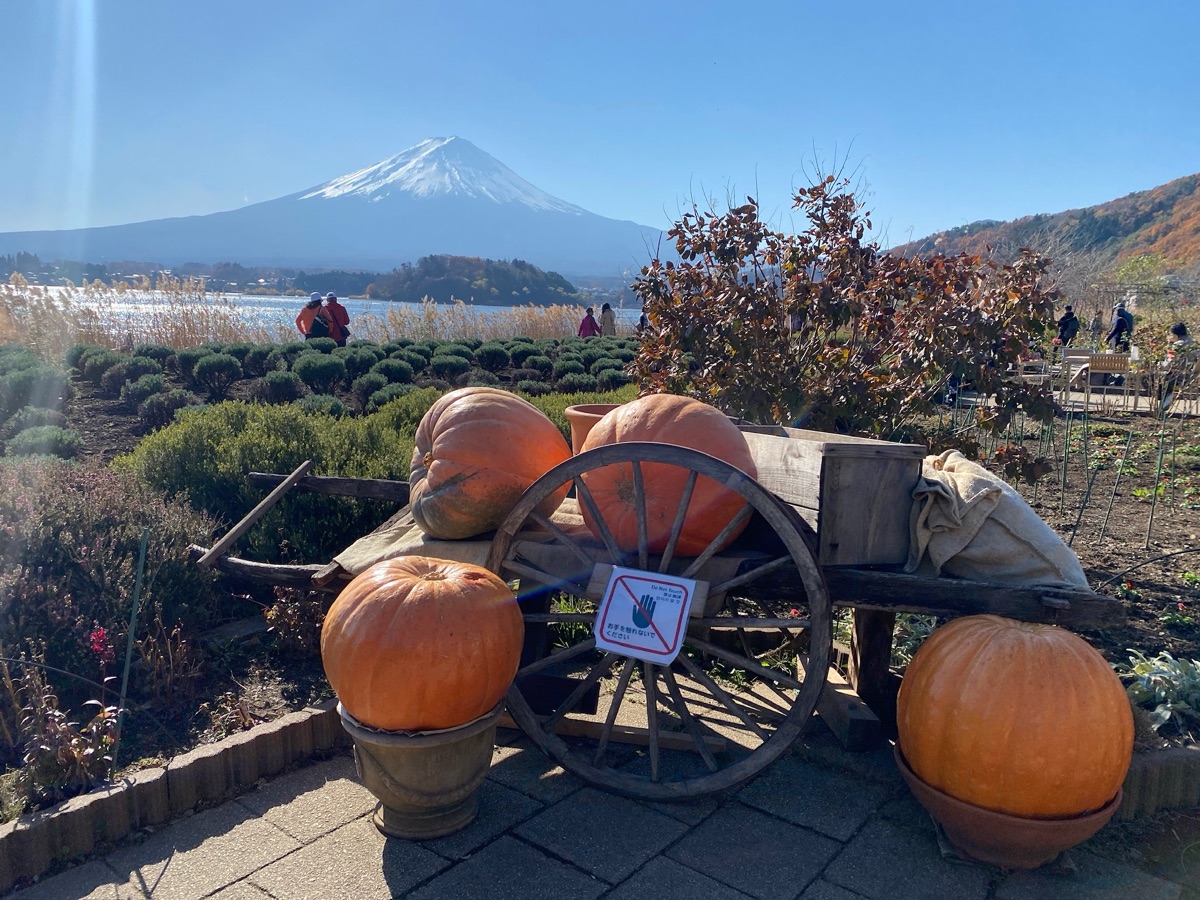 河口湖自然生活館 | 去趣 chicTrip