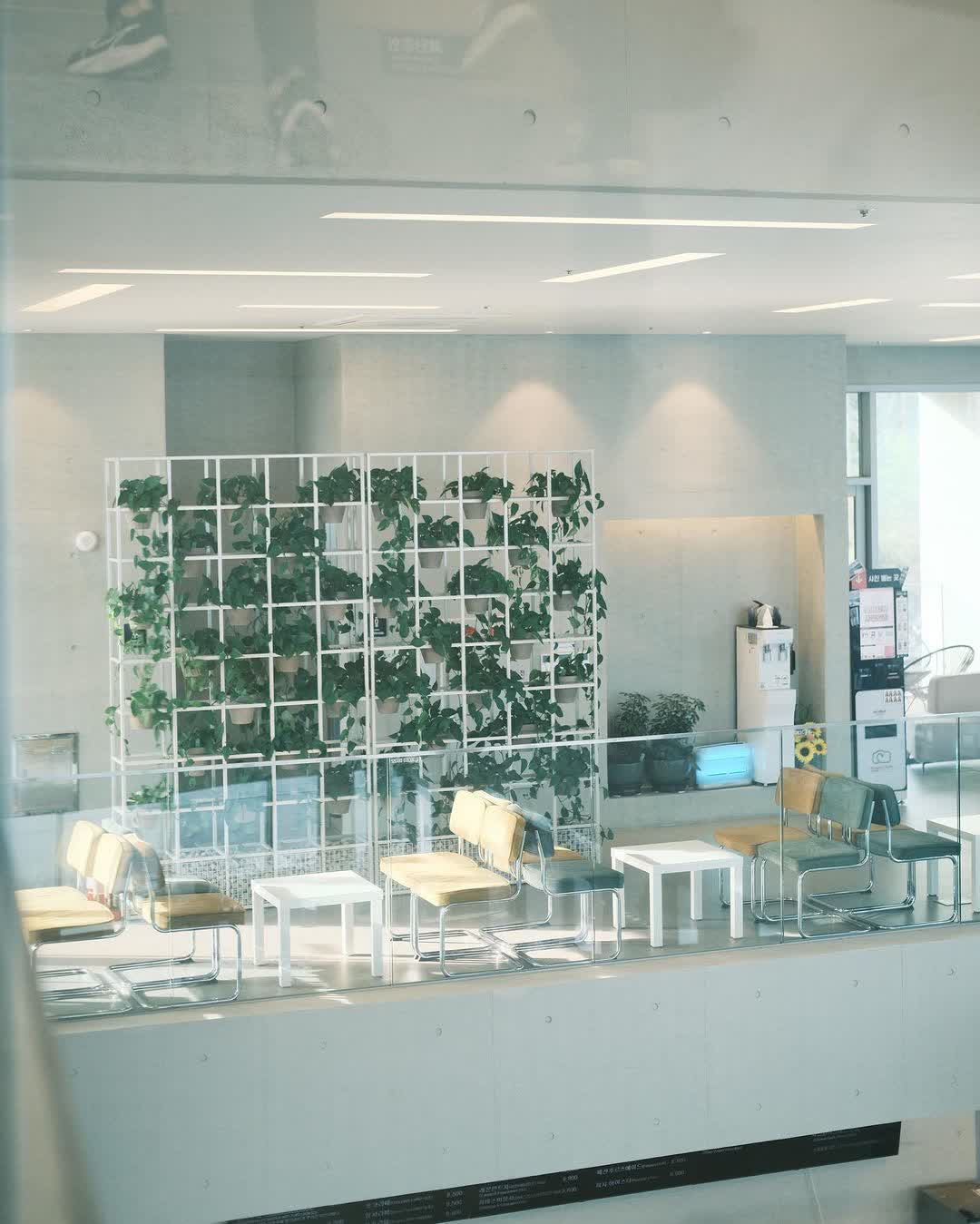 CORALANI | 去趣 chicTrip