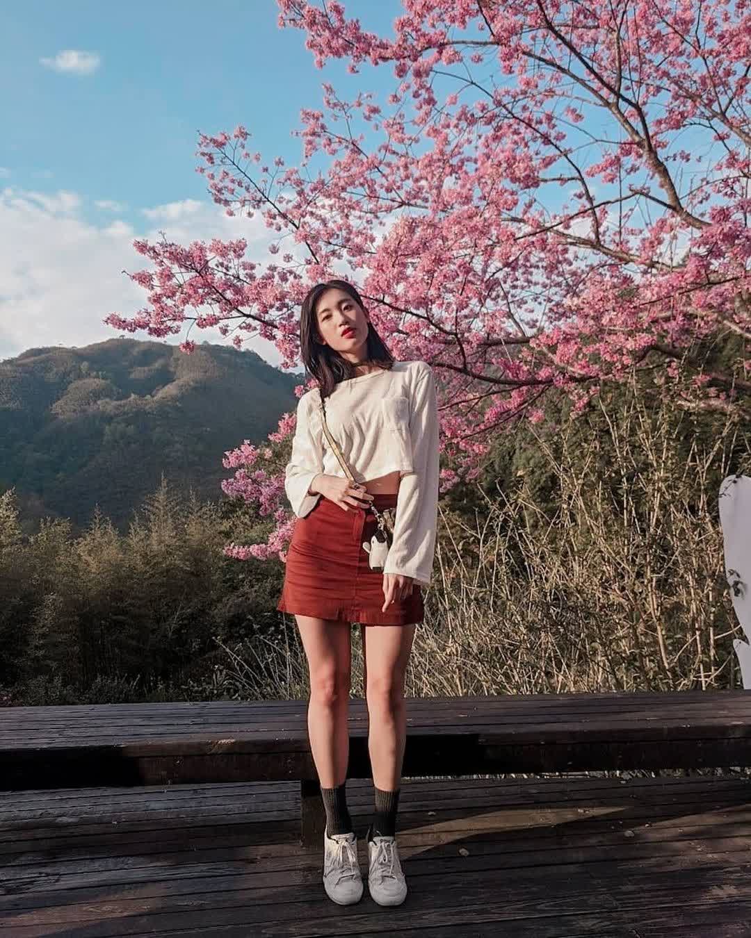 薰衣草森林新竹尖石店 | 去趣 chicTrip