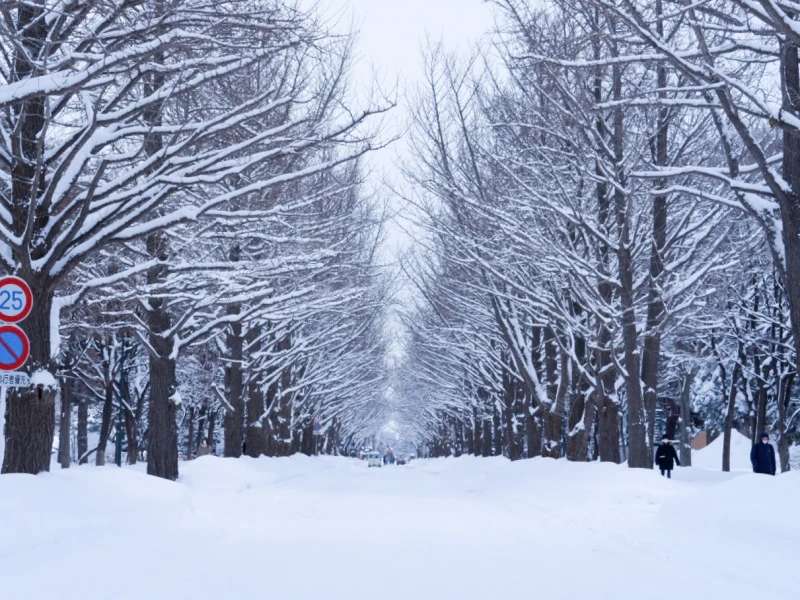 北海道大學 | 去趣 chicTrip