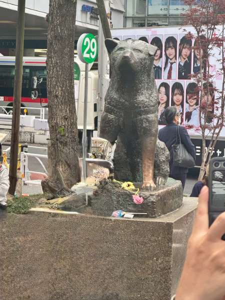 忠犬八公像 | 去趣 chicTrip