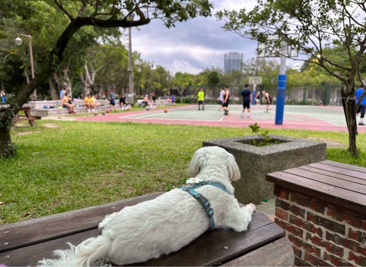 南港公園 | 去趣 chicTrip