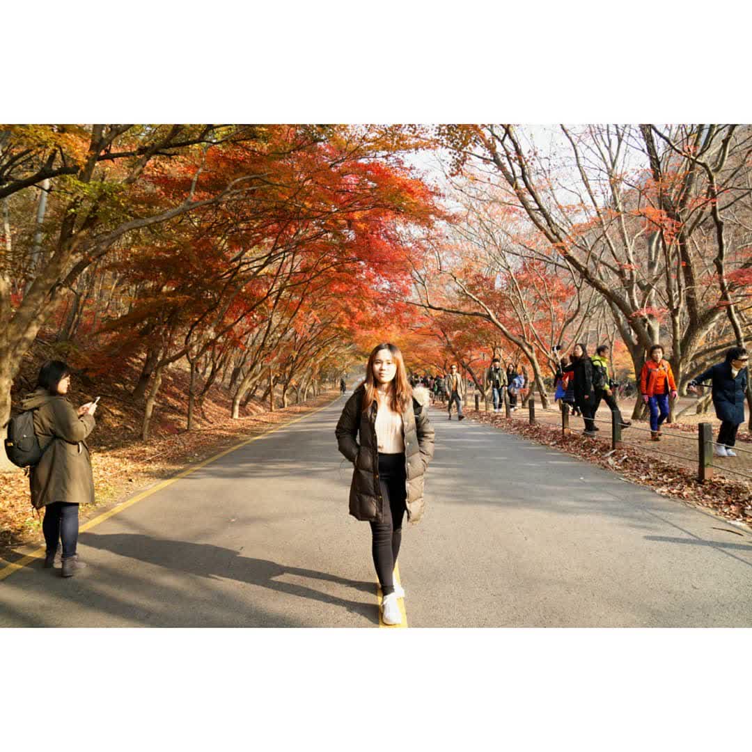 內藏山國立公園 | 去趣 chicTrip