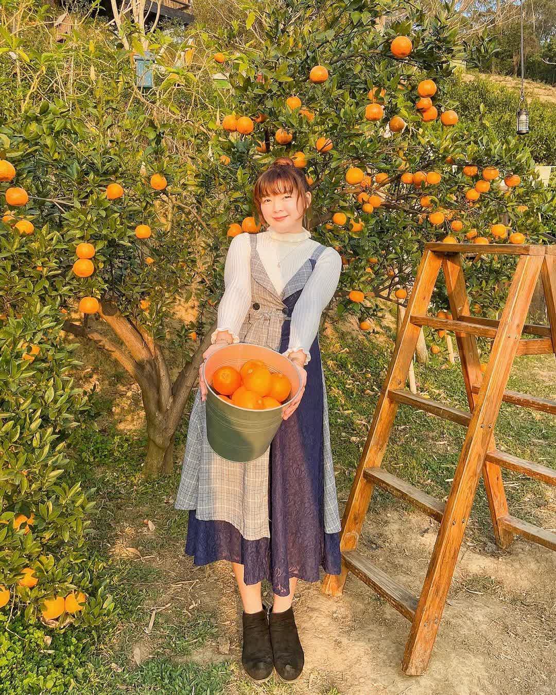 橙香森林 | 去趣 chicTrip