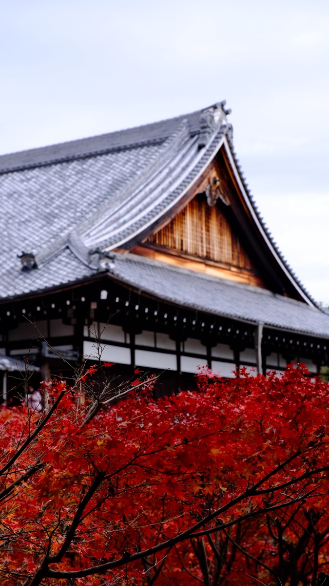 東福寺 | 去趣 chicTrip