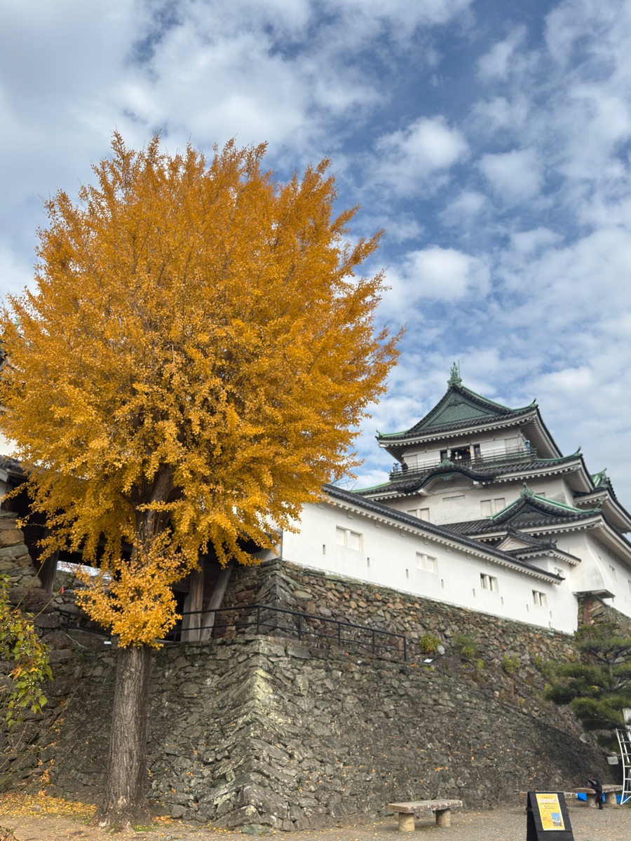 和歌山城 | 去趣 chicTrip