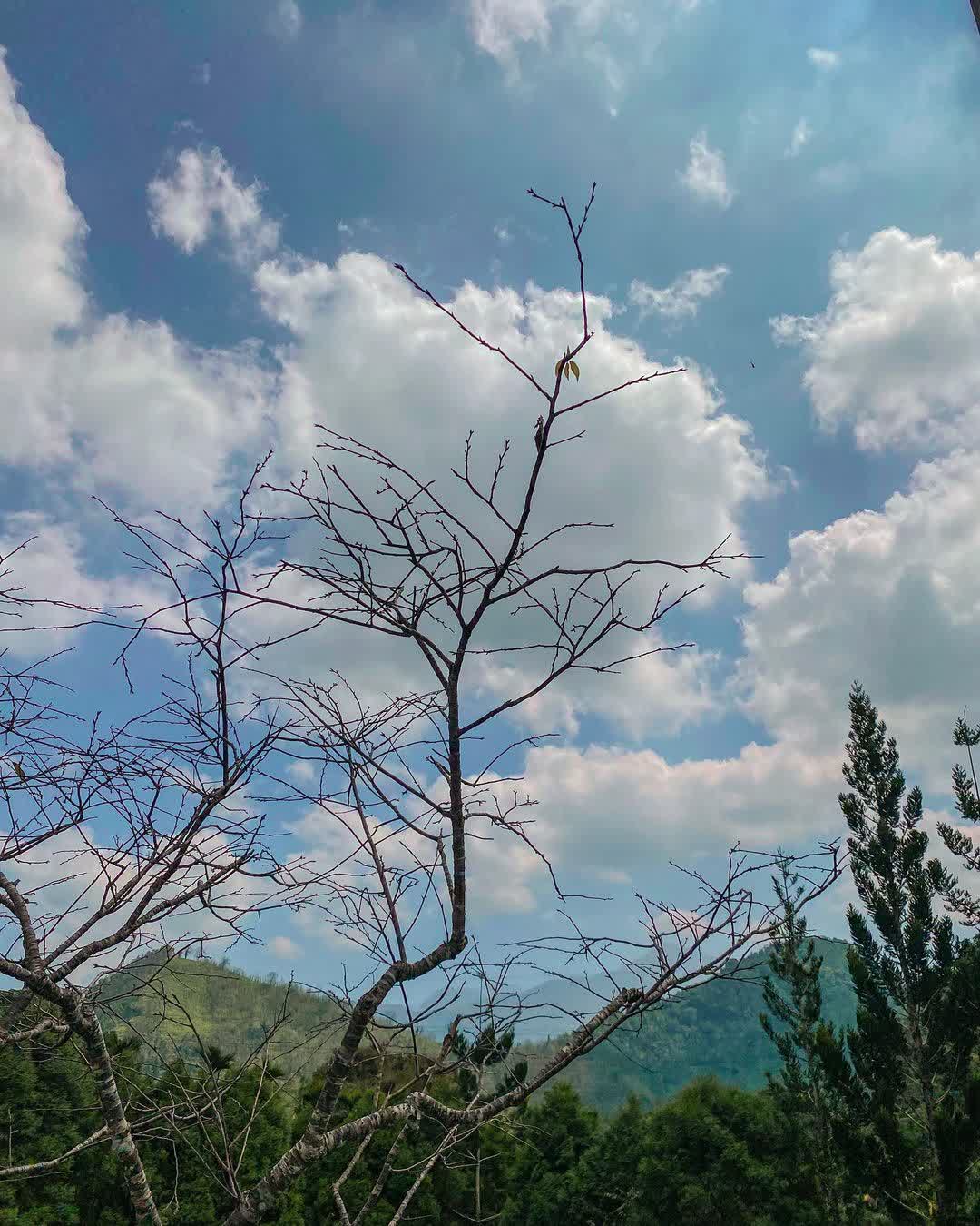 日月老茶廠 | 去趣 chicTrip