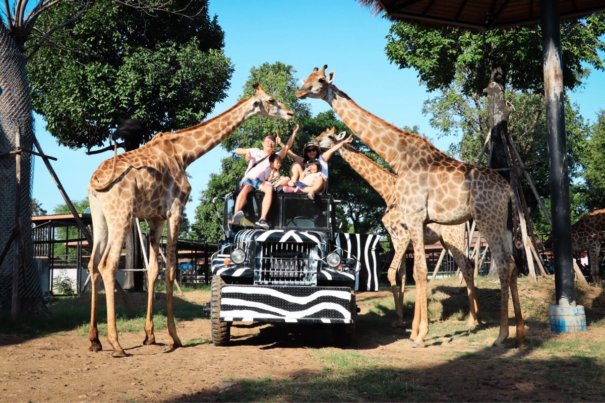 Sriayuthaya Lion Park | 去趣 chicTrip