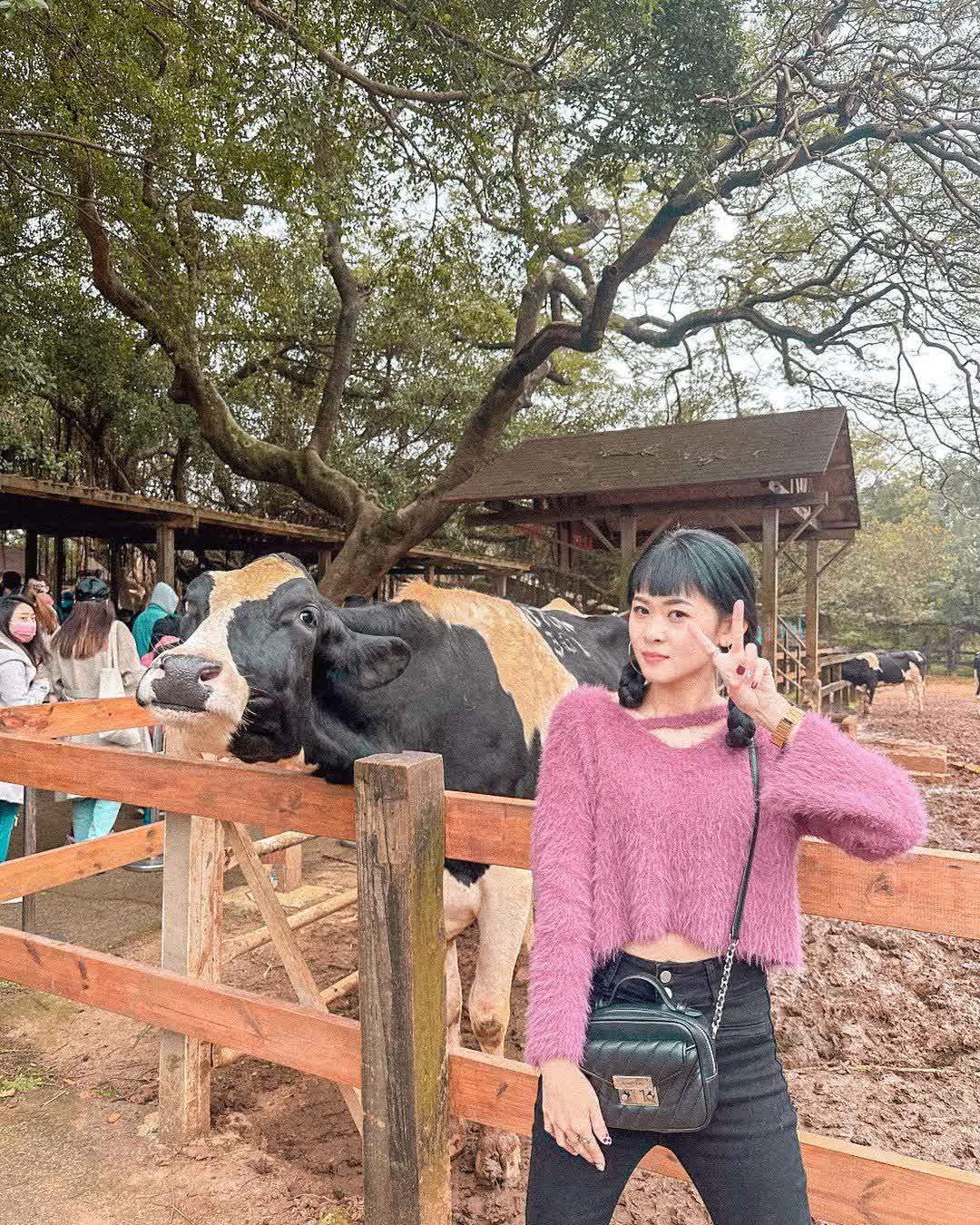 埔心牧場 | 去趣 chicTrip