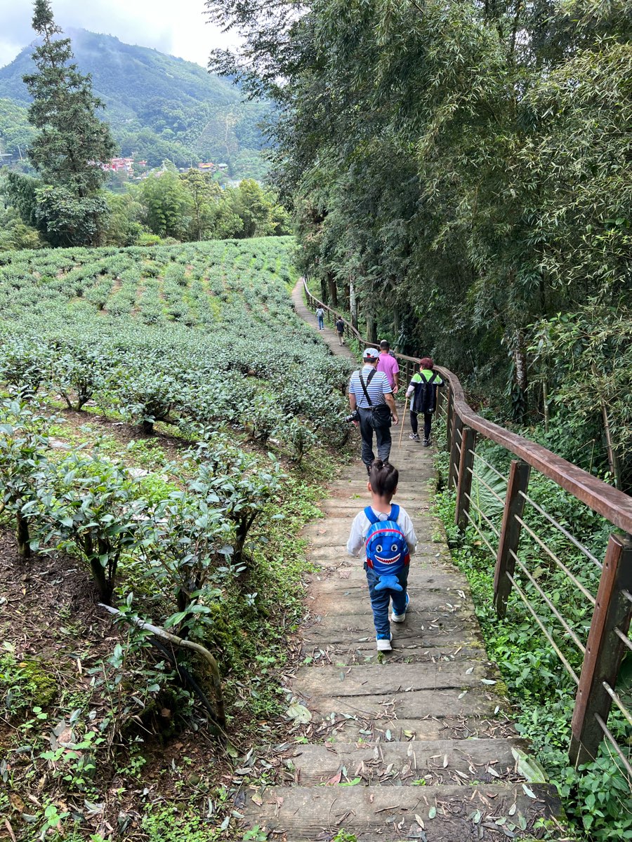 雲之南道步道 | 去趣 chicTrip