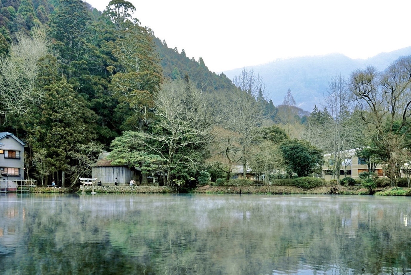 金鱗湖 | 去趣 chicTrip