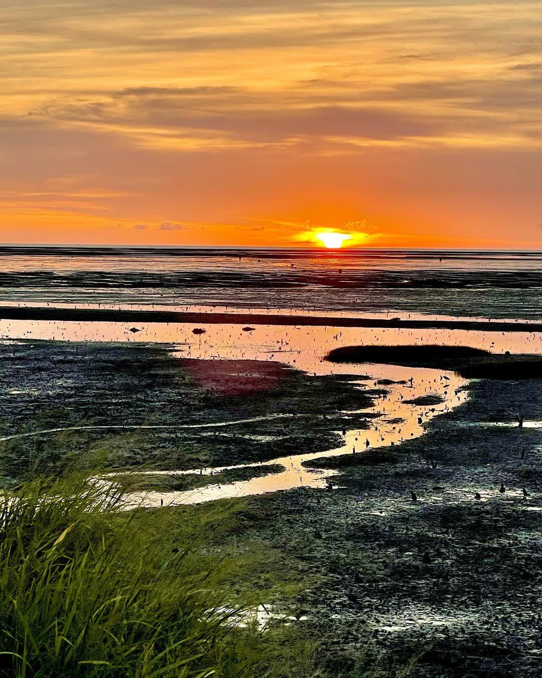 香山濕地 | 去趣 chicTrip