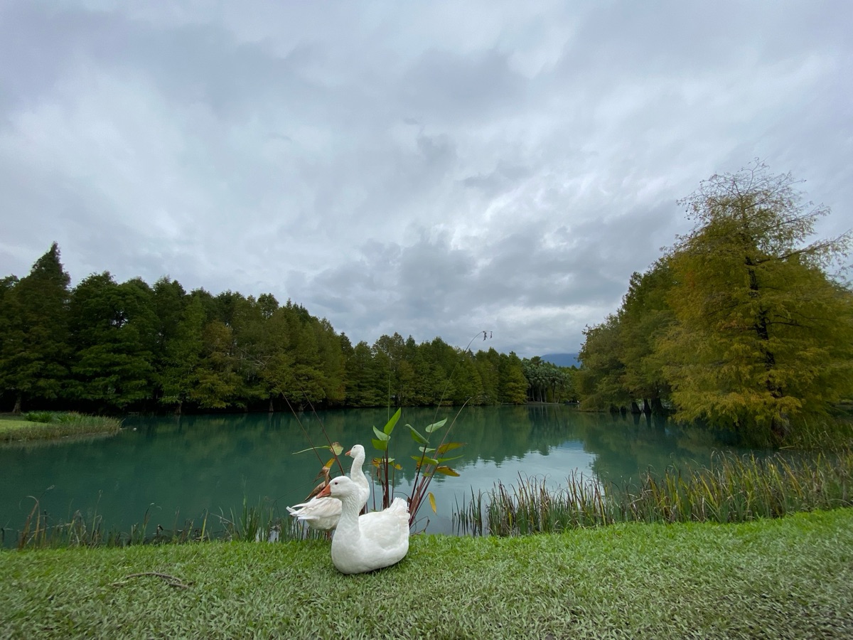 花蓮雲山水夢幻湖 | 去趣 chicTrip