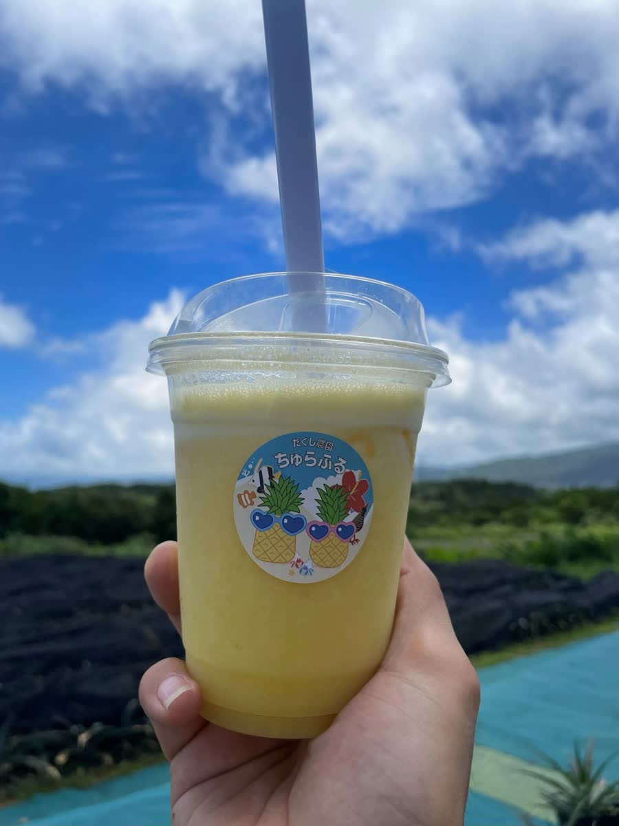 たくし農園 ちゅらふる パイナップル直売所 | 去趣 chicTrip