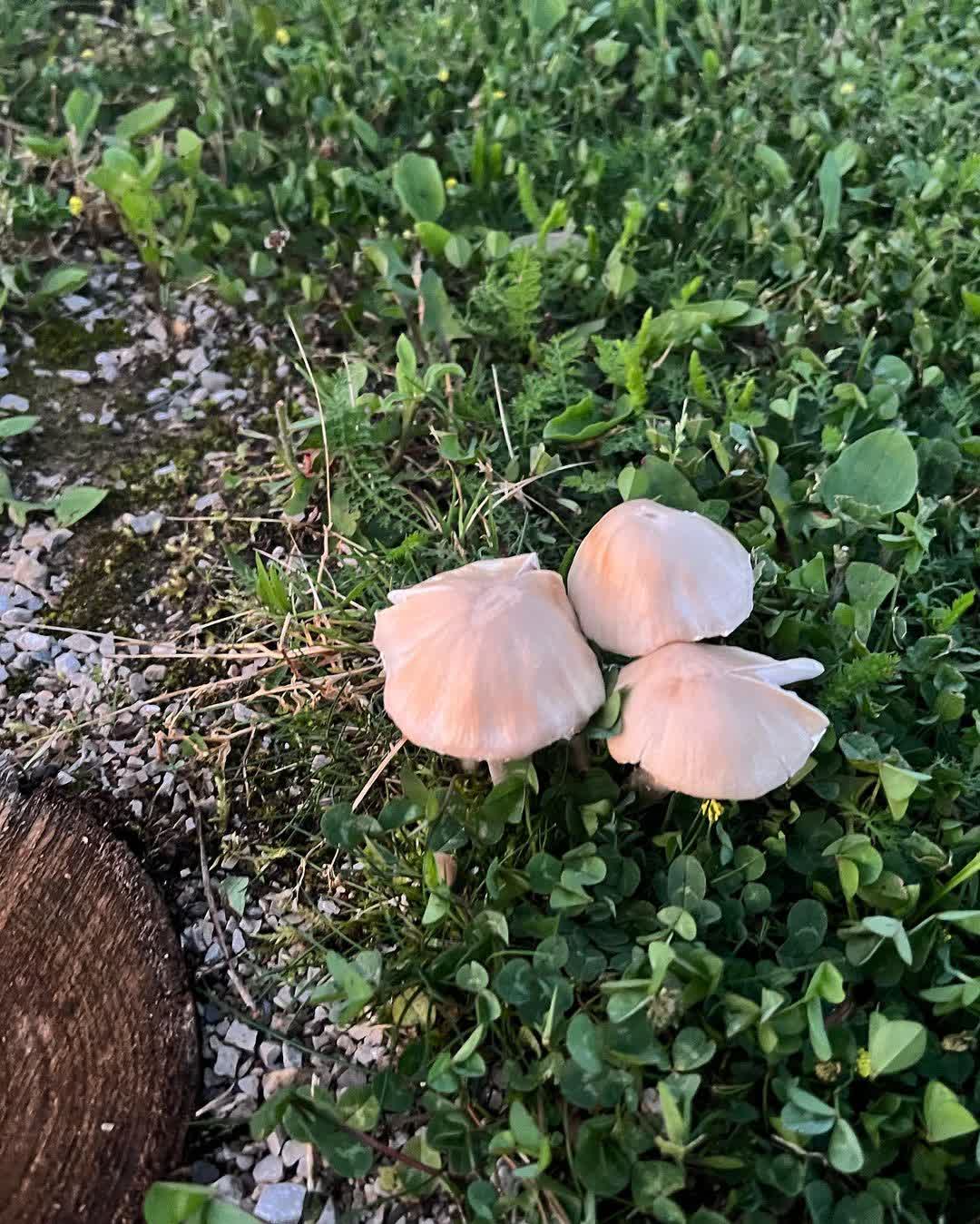 普利特維採湖群國家公園 | 去趣 chicTrip