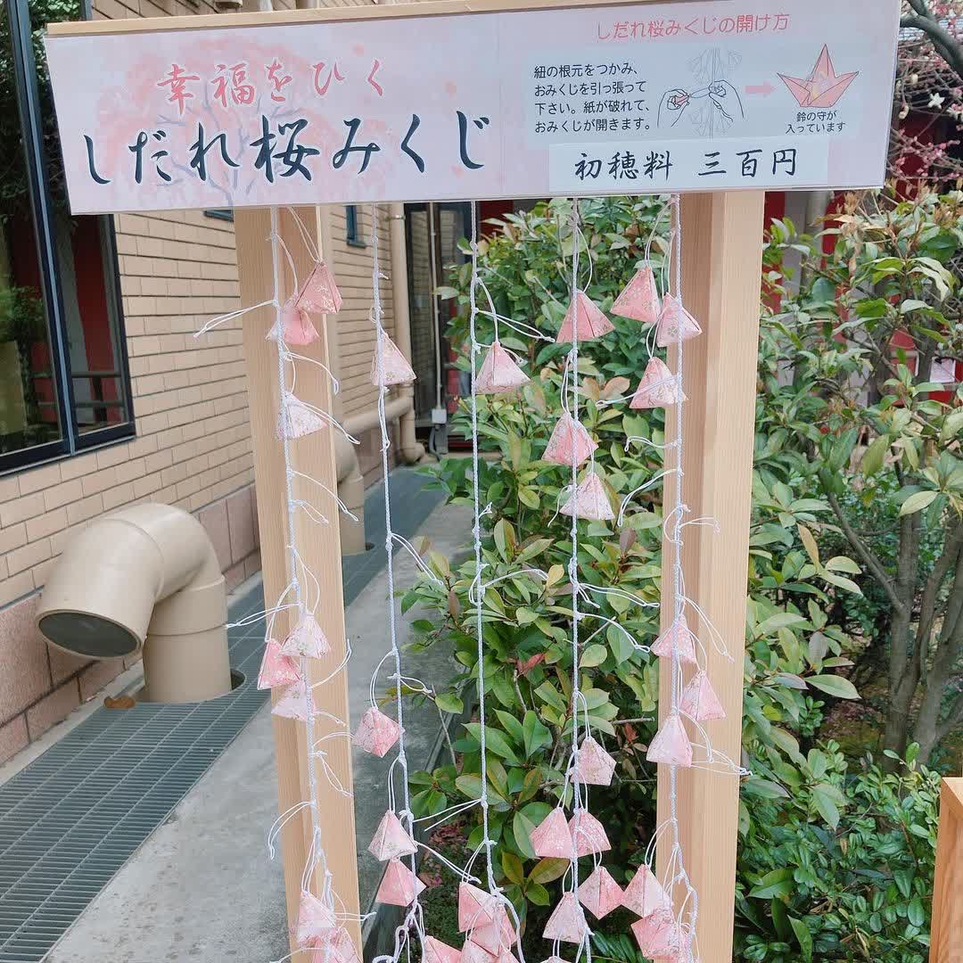 櫻神宮 | 去趣 chicTrip