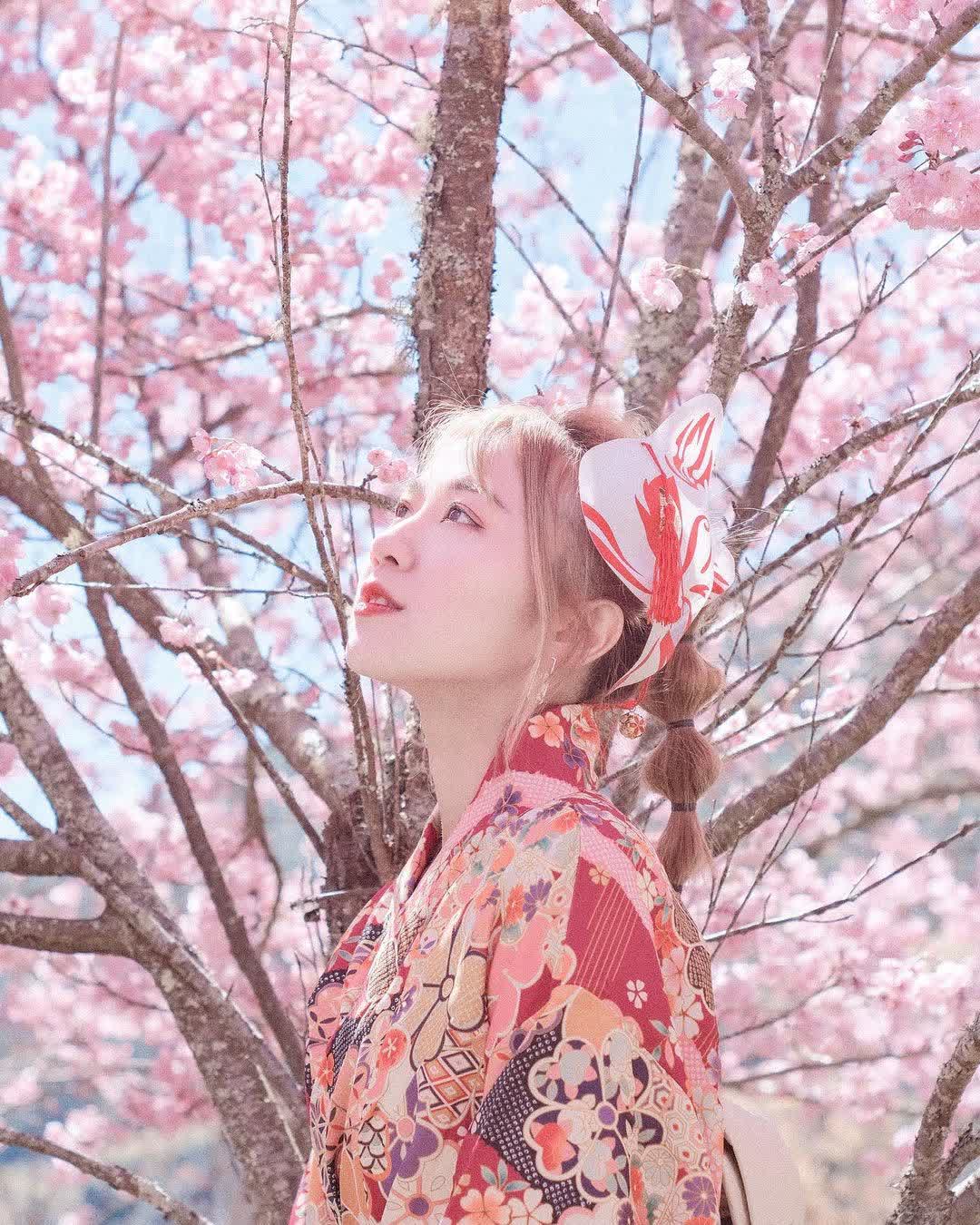 武陵農場 | 去趣 chicTrip