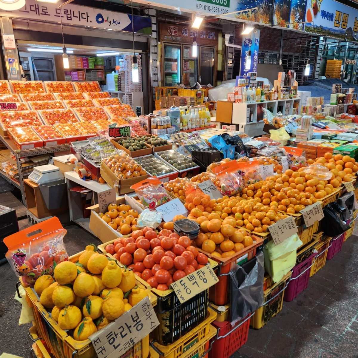 濟州東門市場 | 去趣 chicTrip